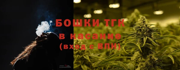 крисы Абаза