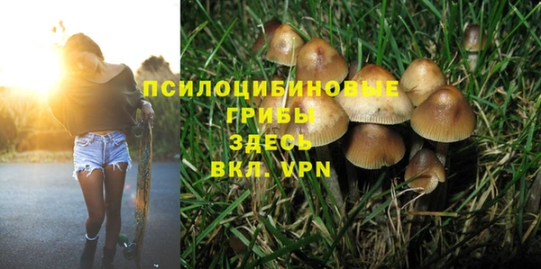 прущая мука Покров