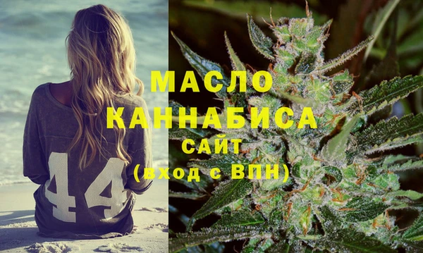 крисы Абаза
