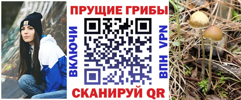 купить закладку Удомля Псилоцибиновые грибы Magic Shrooms