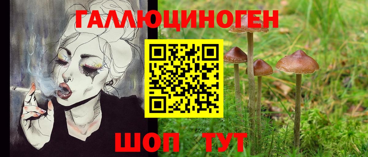 Удомля  Галлюциногенные грибы ЛСД  Вход с VPN  Псилоцибиновые грибы ЛСД 