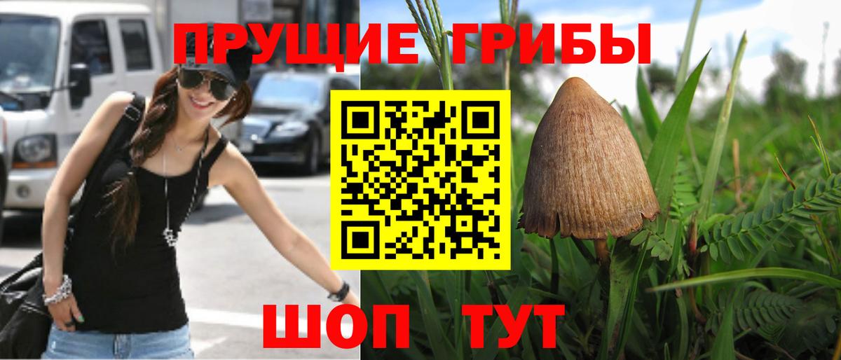 Галлюциногенные грибы GOLDEN TEACHER Удомля
