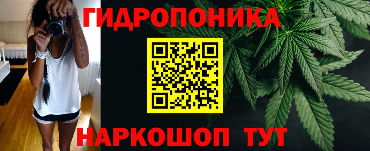 Конопля OG Kush Удомля